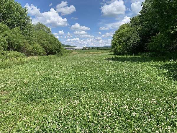56.5 Acres of Land for Sale in Oneonta, New York