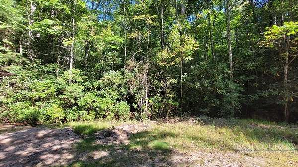 0.62 Acres of Land for Sale in Beech Mountain, North Carolina