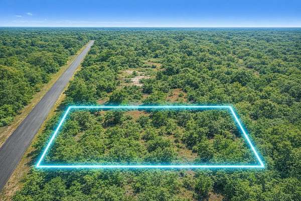 1 Acre of Land for Sale in Dunnellon, Florida