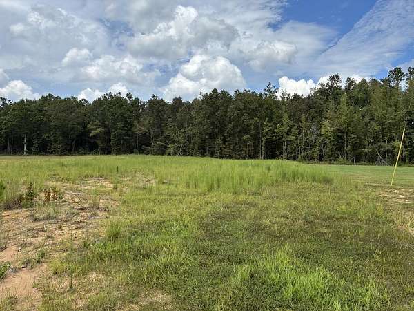 2.6 Acres of Residential Land for Sale in Myrtle, Mississippi