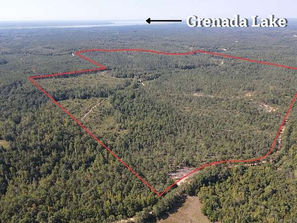 327 Acres of Recreational & Residential Land for Sale in Coffeeville, Mississippi