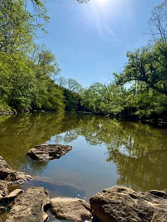 20 Acres of Recreational & Residential Land for Sale in Sandy Level, Virginia