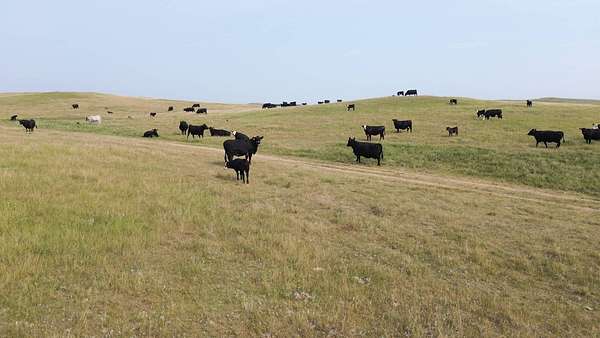 1,008 Acres of Land for Auction in Fairfield, North Dakota
