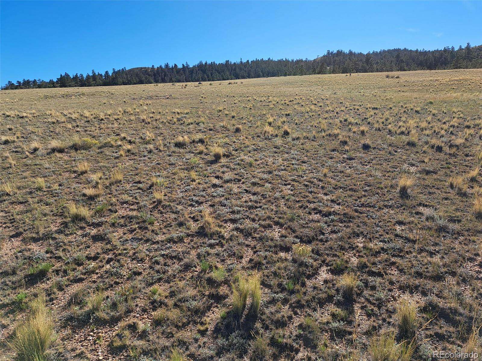 5 Acres of Residential Land for Sale in Hartsel, Colorado