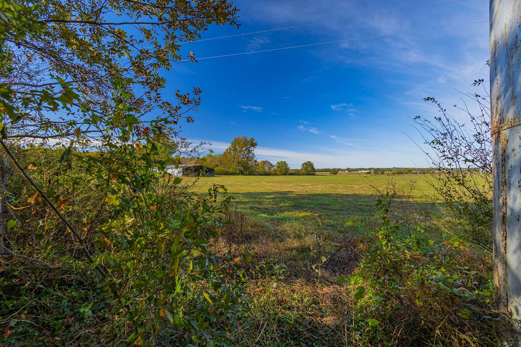 12 Acres of Agricultural Land for Sale in Hillsboro, Tennessee