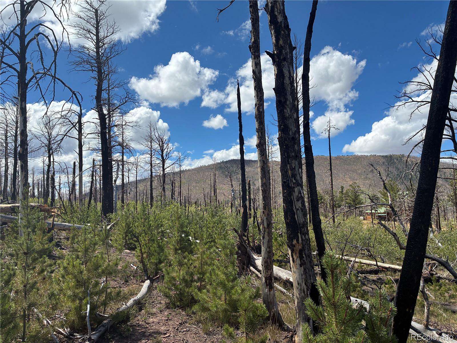 1.43 Acres of Land for Sale in Fort Garland, Colorado
