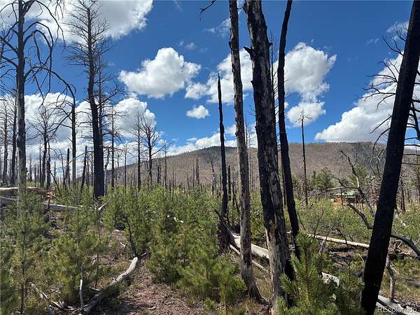 1.43 Acres of Land for Sale in Fort Garland, Colorado