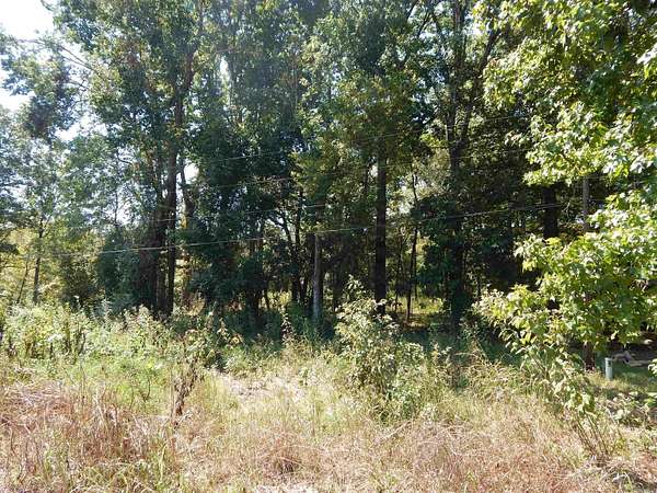 0.69 Acres of Land for Sale in Heber Springs, Arkansas