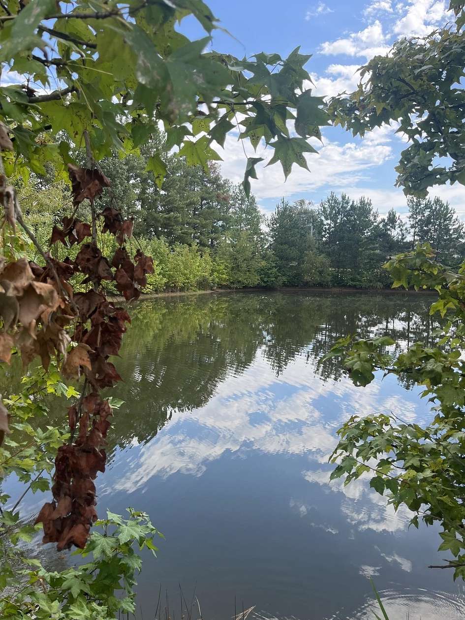 5.65 Acres of Residential Land for Sale in Collierville, Tennessee