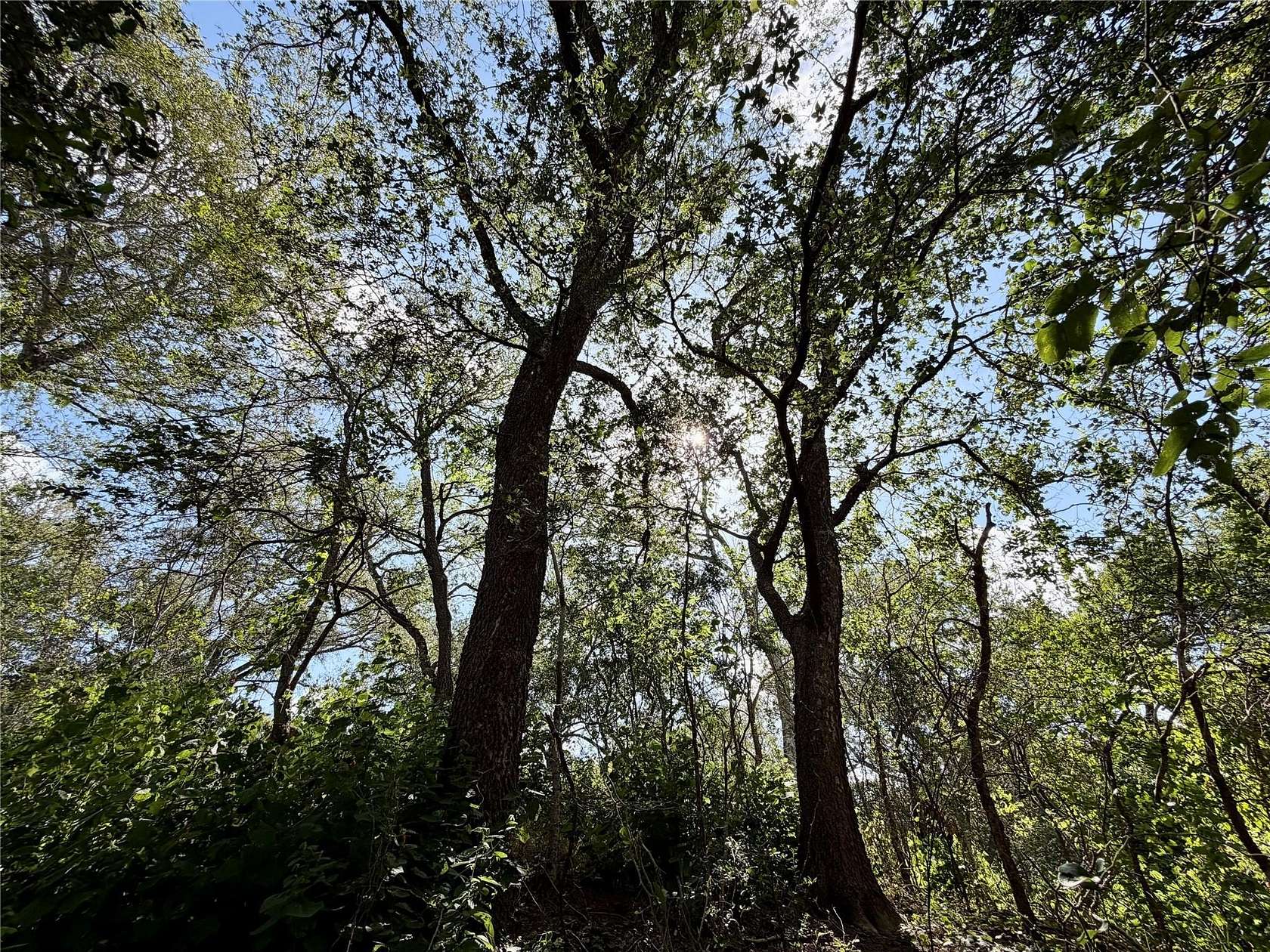 0.31 Acres of Land for Sale in Bastrop, Texas