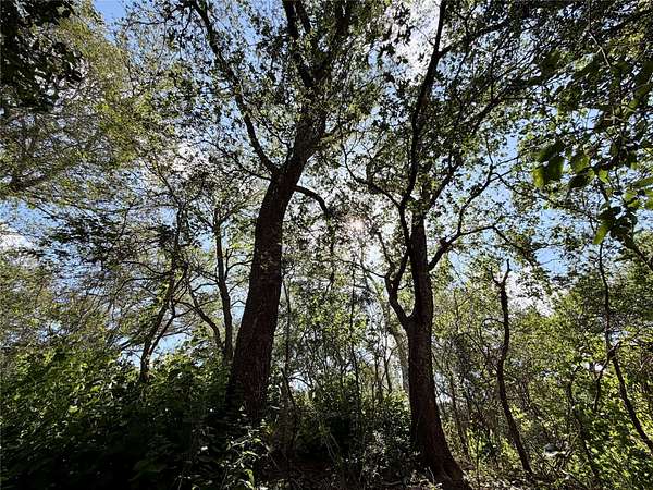 0.31 Acres of Land for Sale in Bastrop, Texas