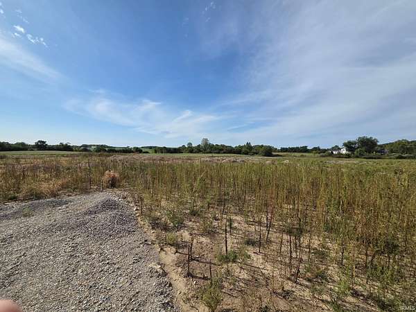30 Acres of Land for Sale in Springport, Indiana