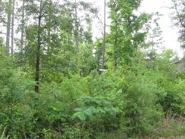 1.32 Acres of Land for Sale in Carriere, Mississippi