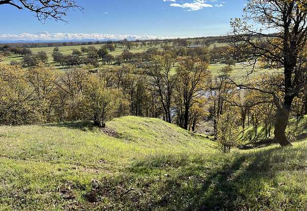 10.7 Acres of Land for Sale in Cottonwood, California