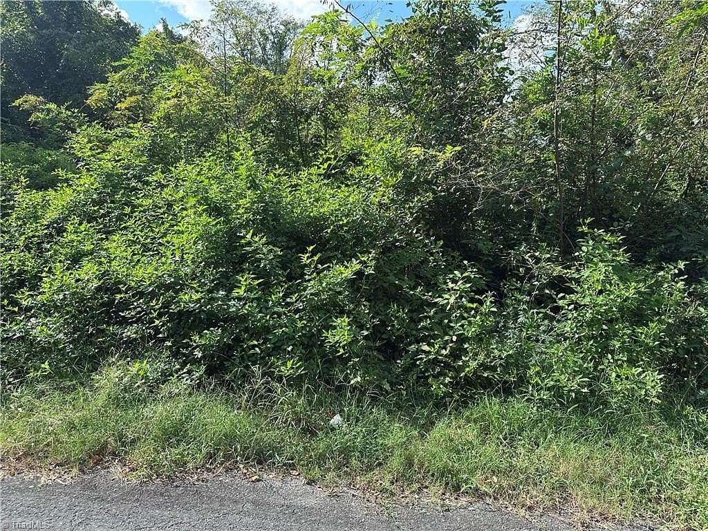 0.39 Acres of Mixed-Use Land for Sale in Lexington, North Carolina