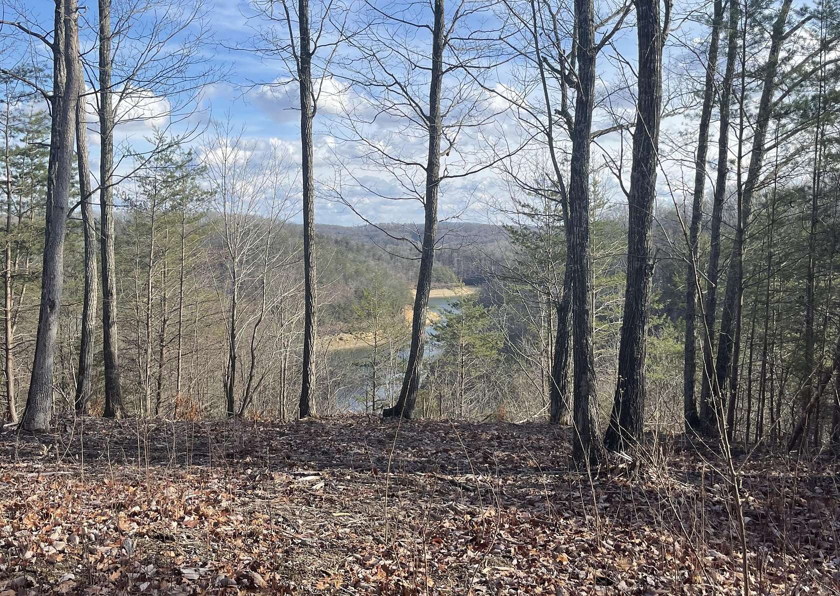 1.5 Acres of Residential Land for Sale in Monticello, Kentucky