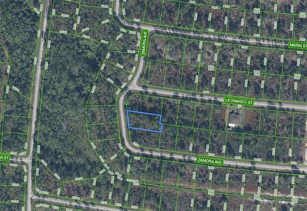 0.3 Acres of Residential Land for Sale in Sebring, Florida