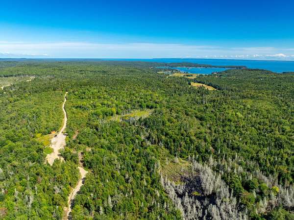 500 Acres of Recreational Land for Sale in Trescott Township, Maine