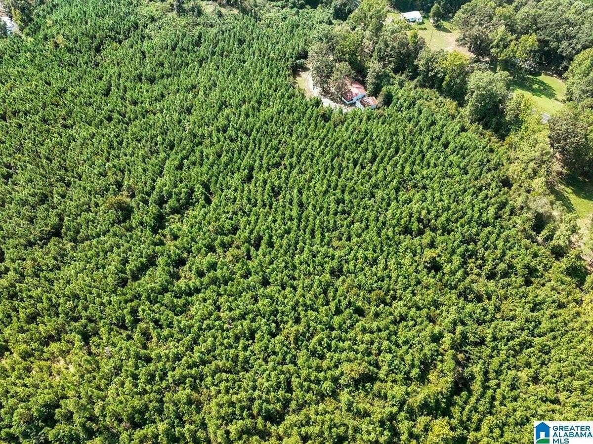 57 Acres of Recreational & Residential Land for Sale in Jasper, Alabama
