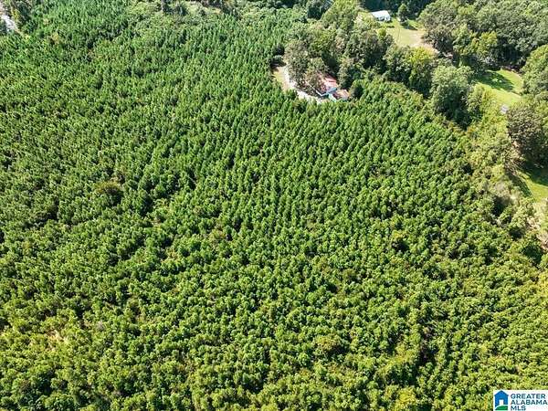 57 Acres of Recreational & Residential Land for Sale in Jasper, Alabama
