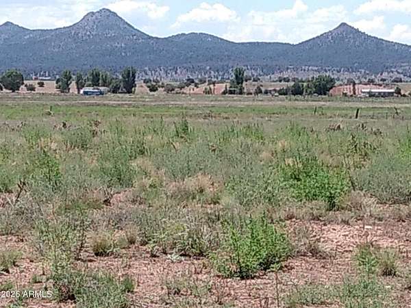 9.24 Acres of Land for Sale in Paulden, Arizona