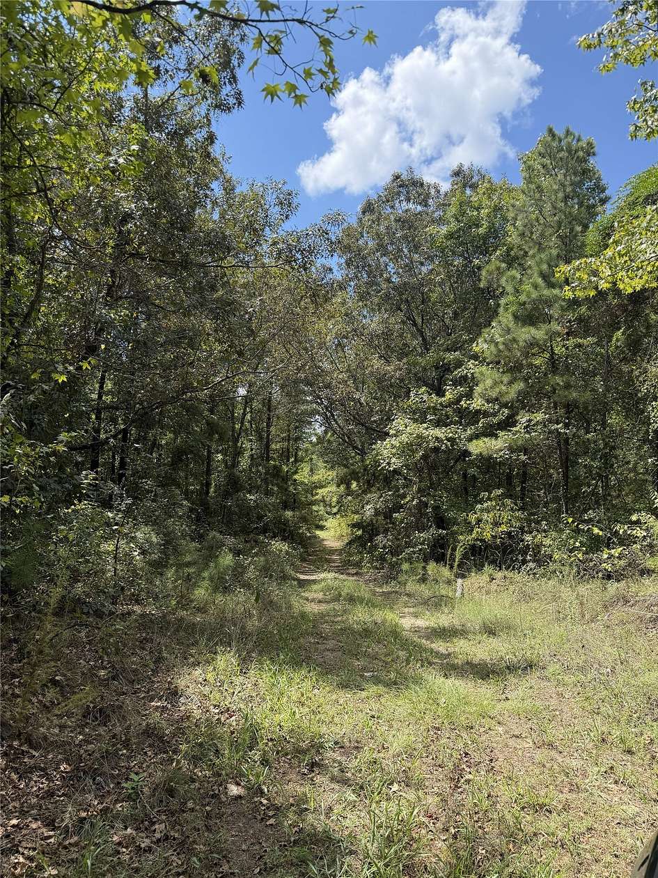 13 Acres of Recreational Land for Sale in Mansfield, Louisiana