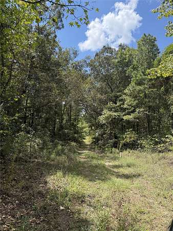 13 Acres of Recreational Land for Sale in Mansfield, Louisiana