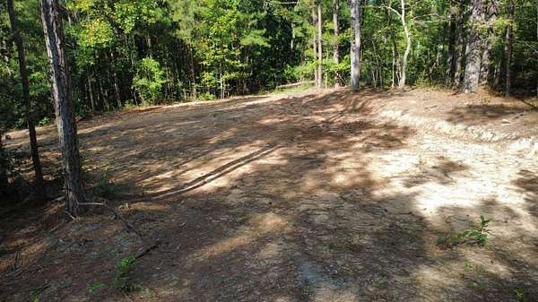 3.19 Acres of Land for Sale in Double Springs, Alabama