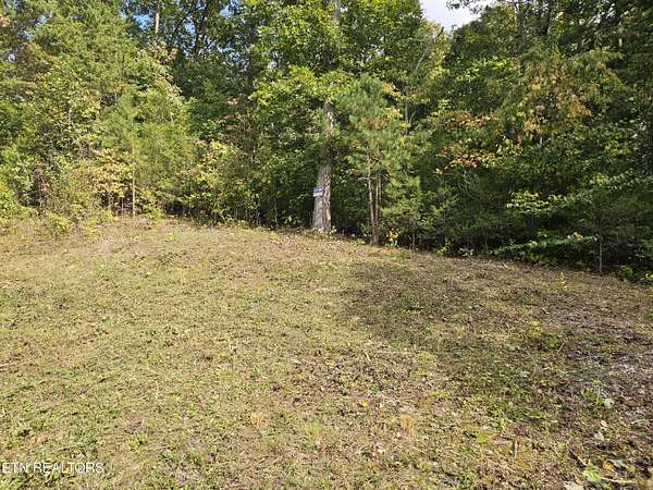 2 Acres of Residential Land for Sale in Speedwell, Tennessee