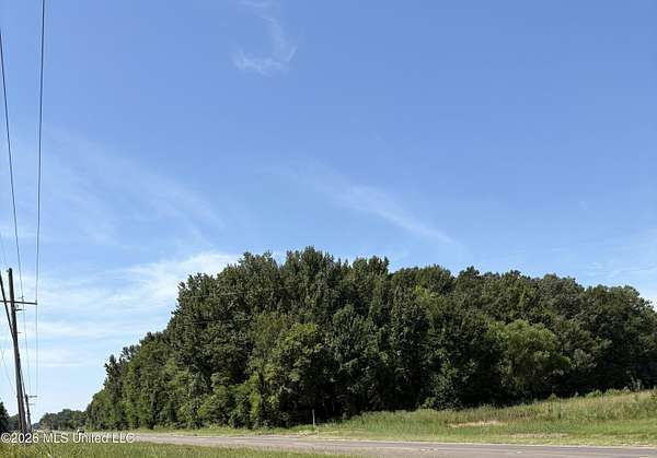 19.7 Acres of Commercial Land for Sale in Canton, Mississippi