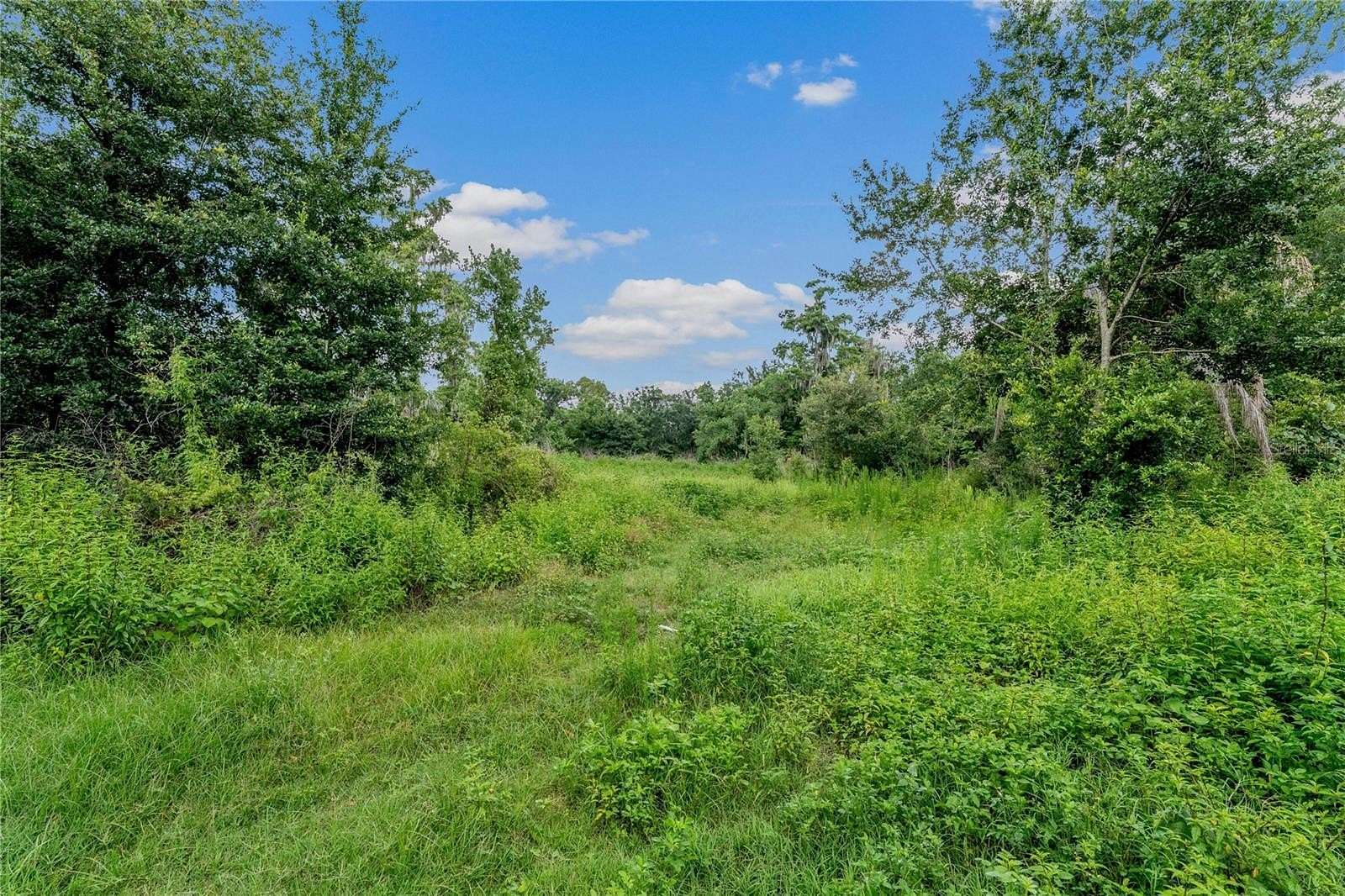 3.78 Acres of Residential Land for Sale in Plant City, Florida