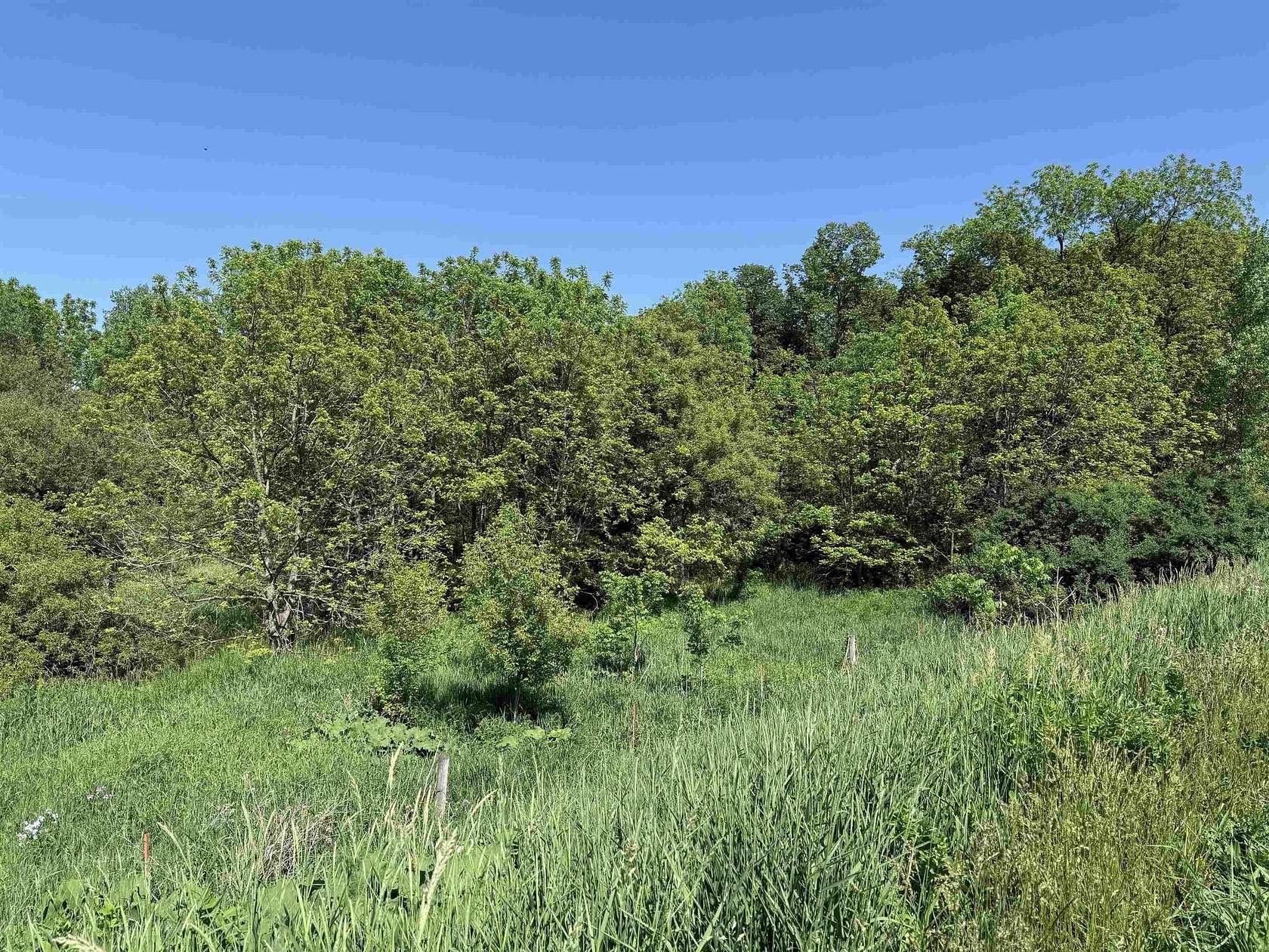 4.58 Acres of Residential Land for Sale in Spillville, Iowa