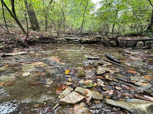 15 Acres of Agricultural Land for Sale in Yellville, Arkansas