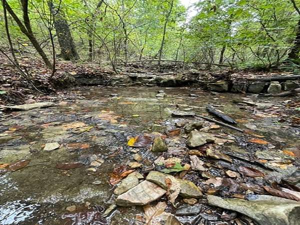 15 Acres of Agricultural Land for Sale in Yellville, Arkansas