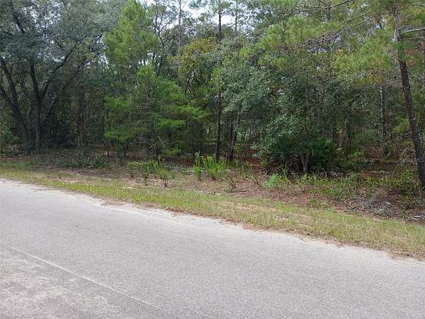0.24 Acres of Residential Land for Sale in Ocklawaha, Florida