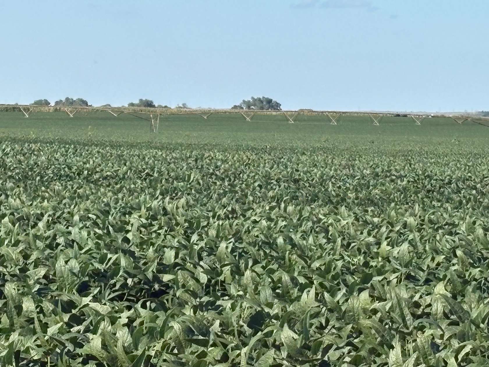 239 Acres of Agricultural Land for Sale in Cozad, Nebraska