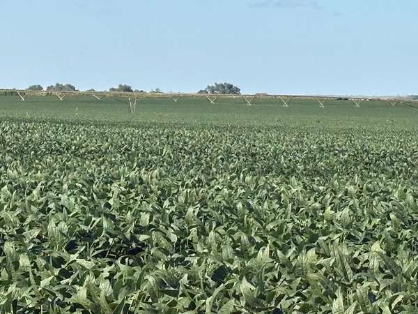 239 Acres of Agricultural Land for Sale in Cozad, Nebraska