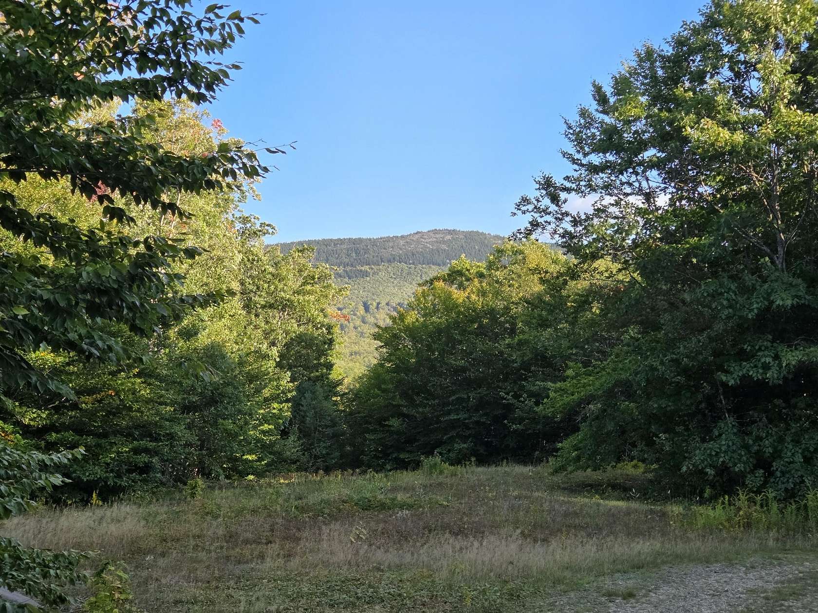 36.5 Acres of Recreational & Residential Land for Sale in Peru, Maine