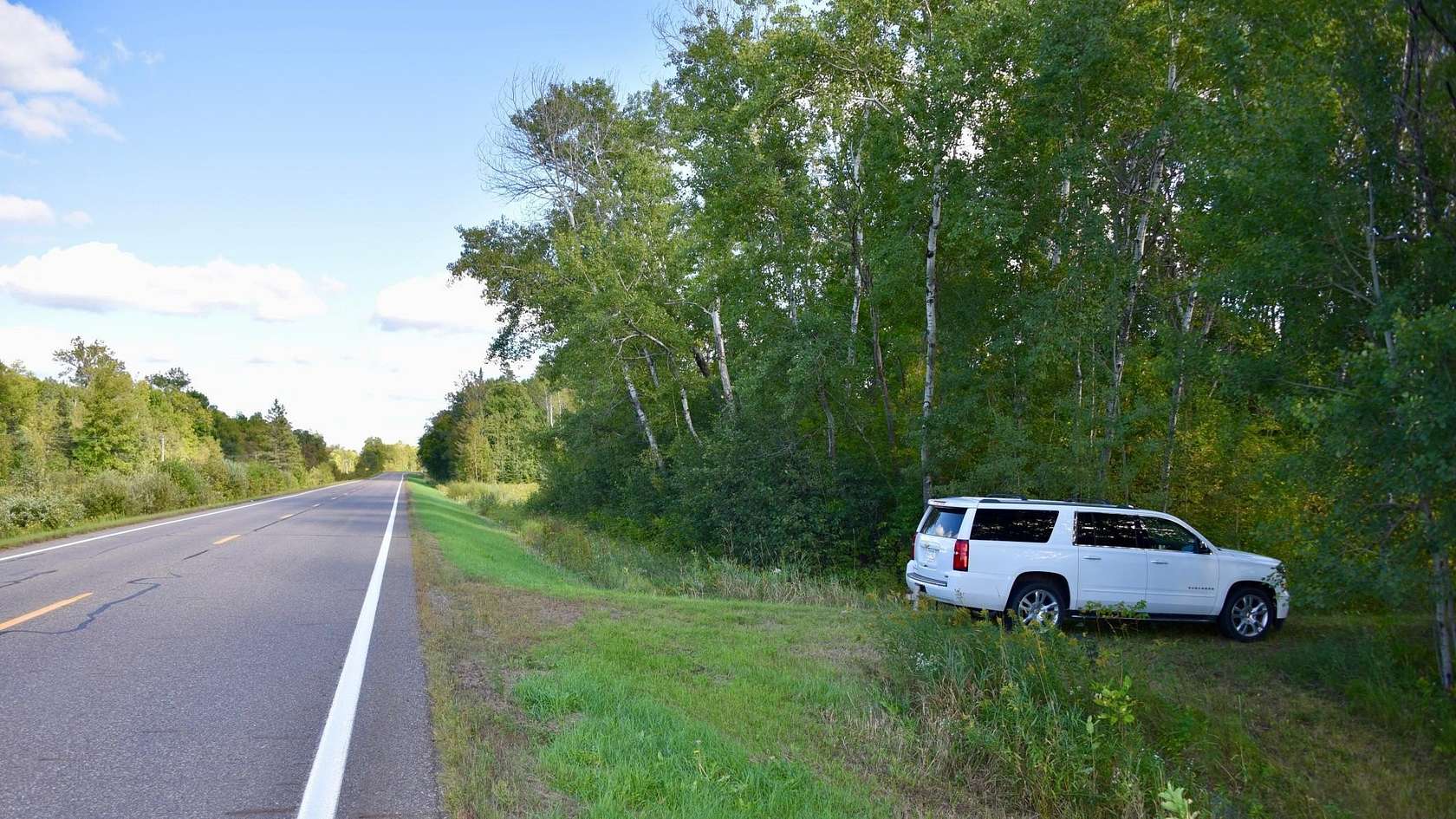 11.4 Acres of Recreational Land for Sale in Palisade, Minnesota