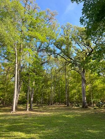 1.43 Acres of Residential Land for Sale in Branford, Florida