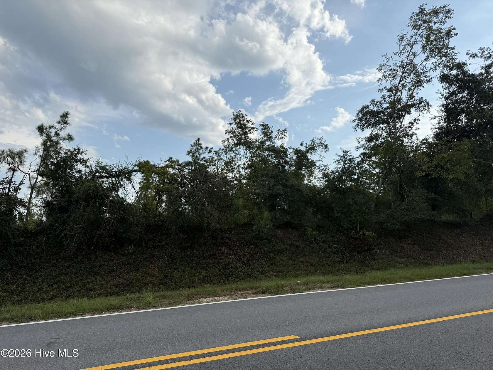 17.3 Acres of Recreational & Residential Land for Sale in Hephzibah, Georgia