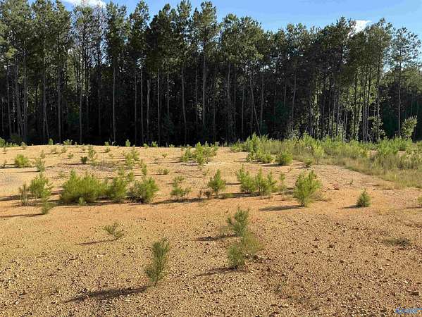 0.66 Acres of Residential Land for Sale in Riverside, Alabama