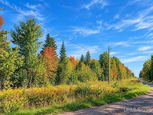 40 Acres of Recreational Land for Sale in Carey Town, Wisconsin