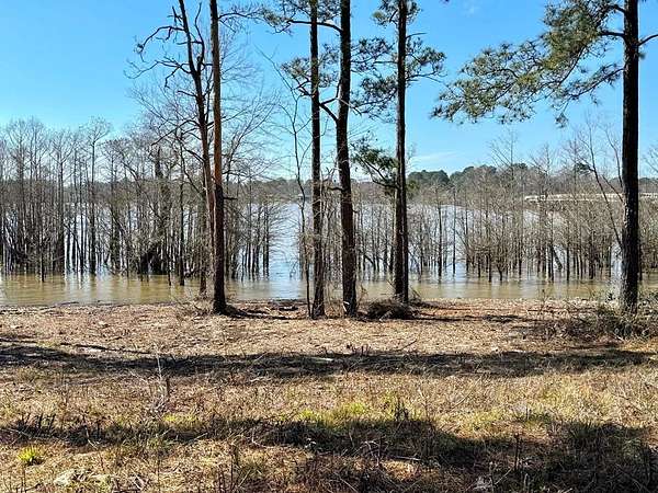 1.5 Acres of Land for Sale in Broaddus, Texas