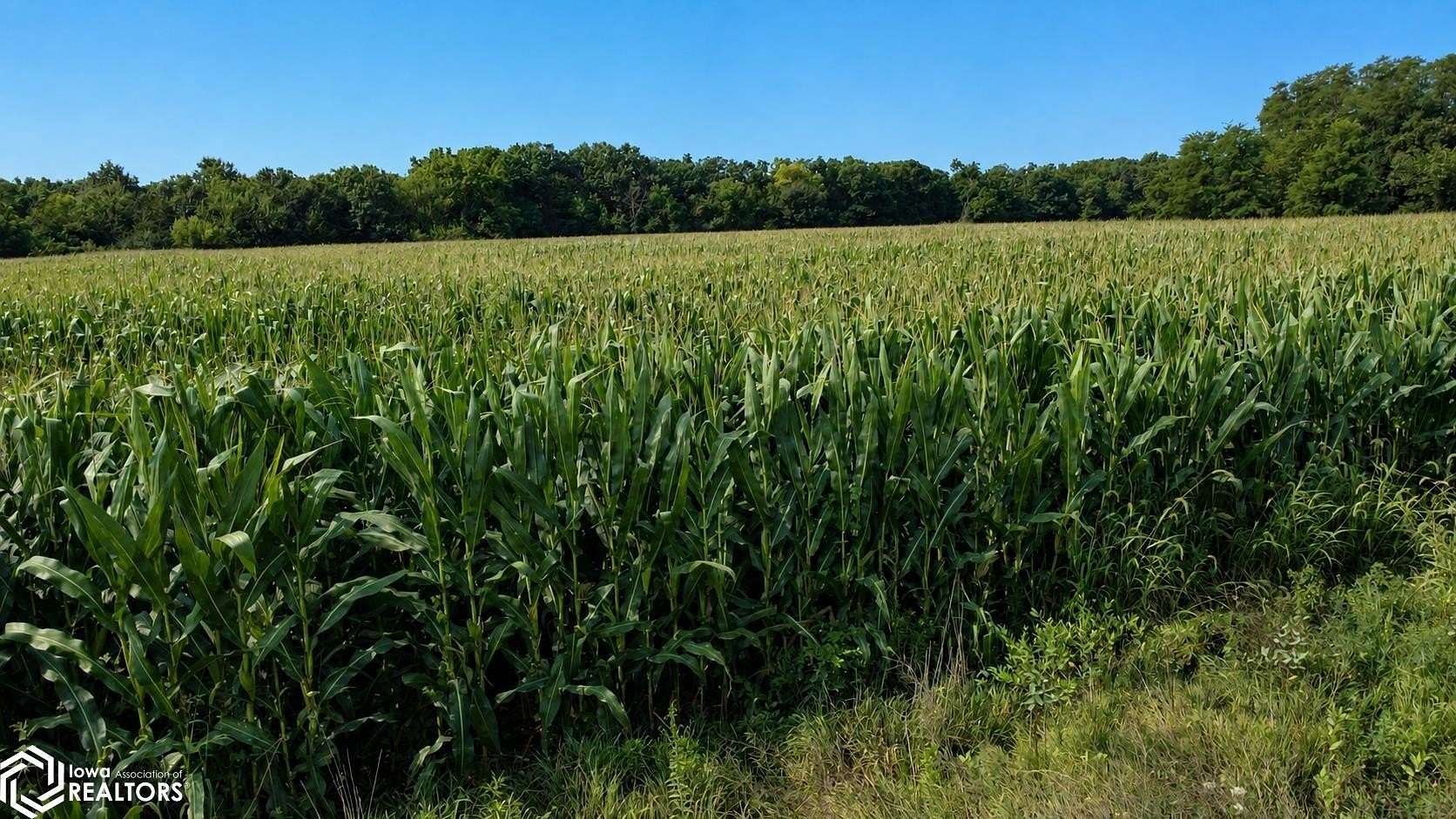 16.2 Acres of Land for Auction in Keokuk, Iowa