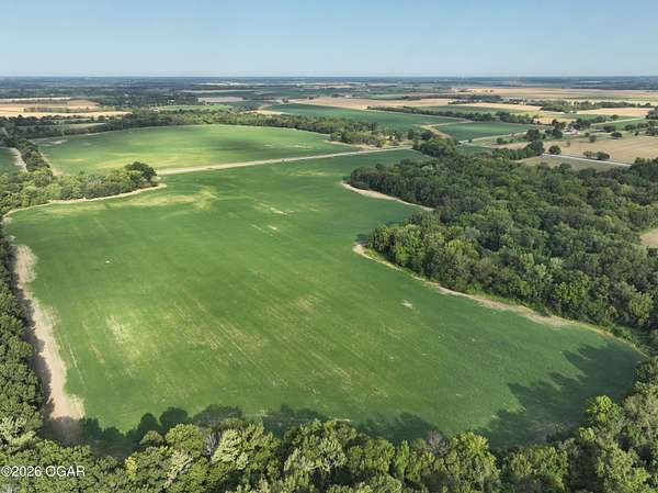 42.3 Acres of Agricultural & Residential Land for Sale in Carl Junction, Missouri