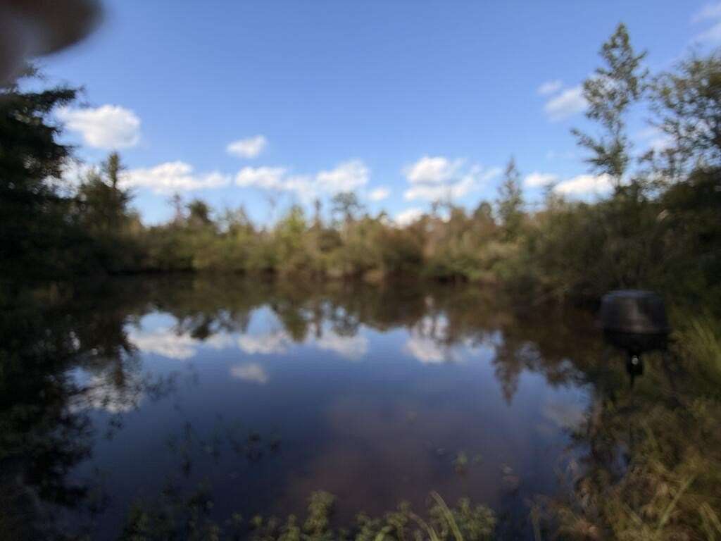58 Acres of Recreational Land for Sale in Lapine, Alabama