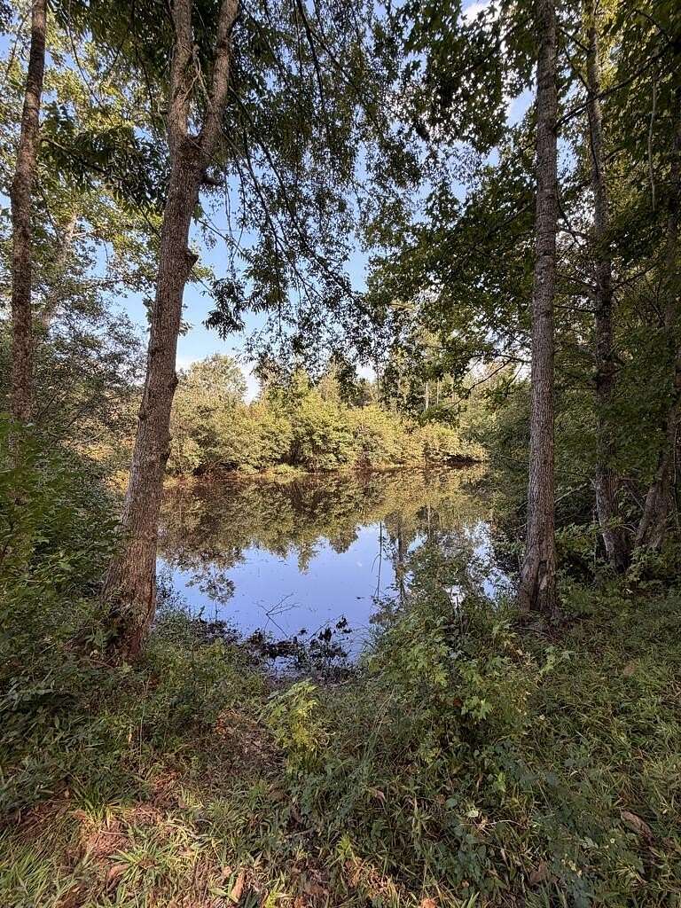 58 Acres of Recreational Land for Sale in Lapine, Alabama
