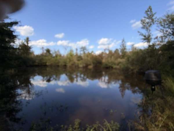 58 Acres of Recreational Land for Sale in Lapine, Alabama
