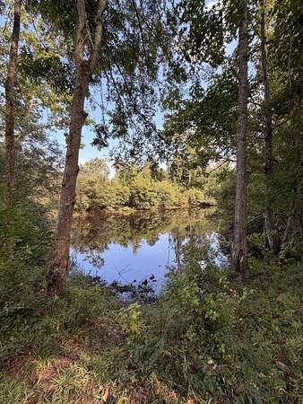 58 Acres of Recreational Land for Sale in Lapine, Alabama